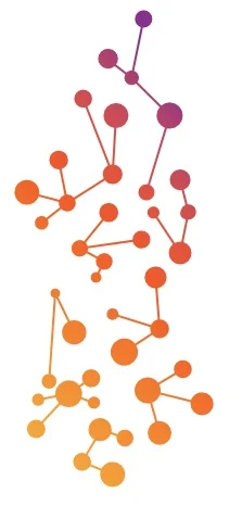 network.webp