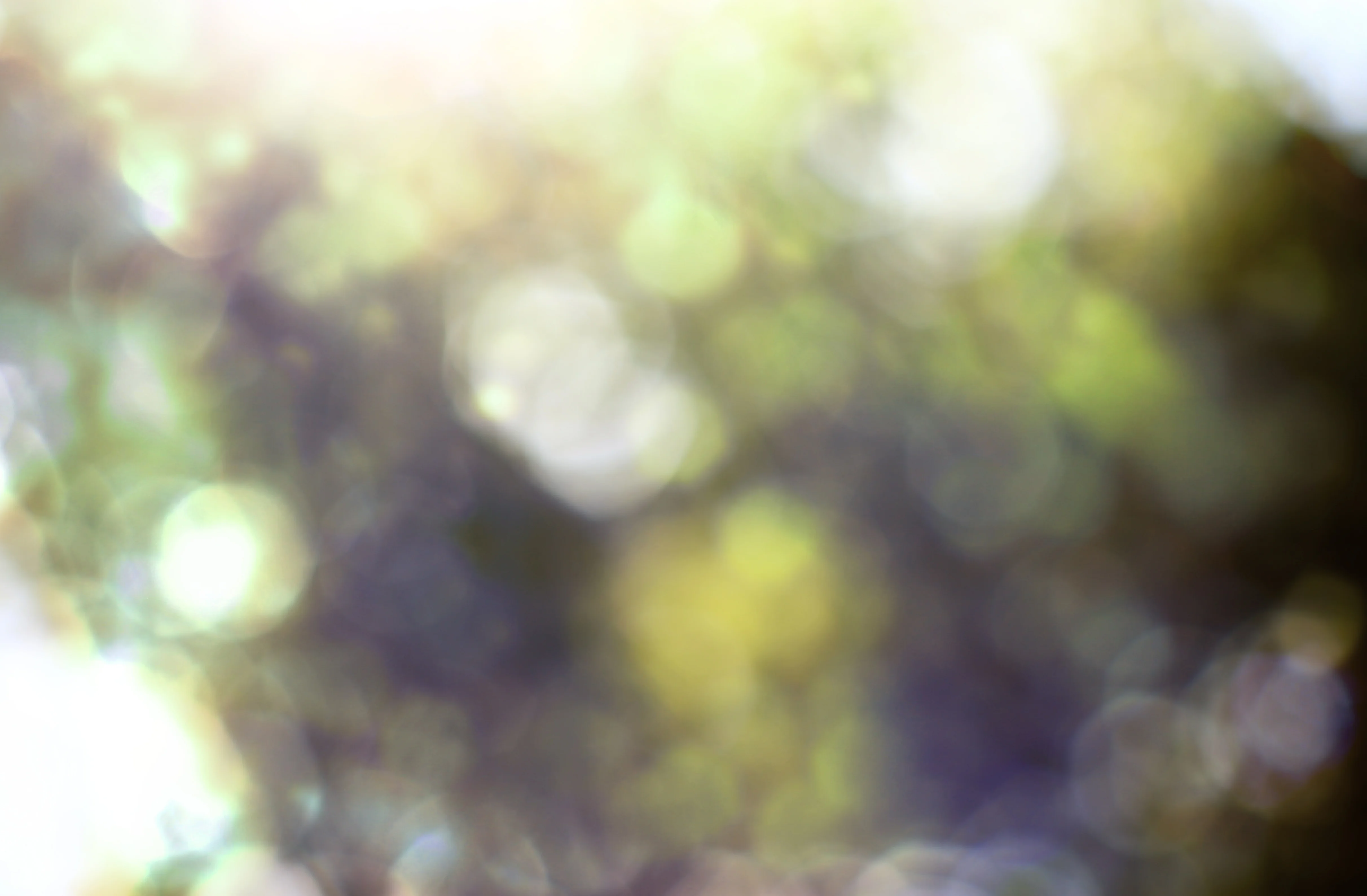 27. + 28.10.2025: BIGS Clinical Population Science